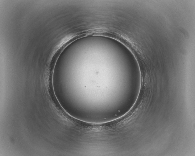 X0000116491410200912091411