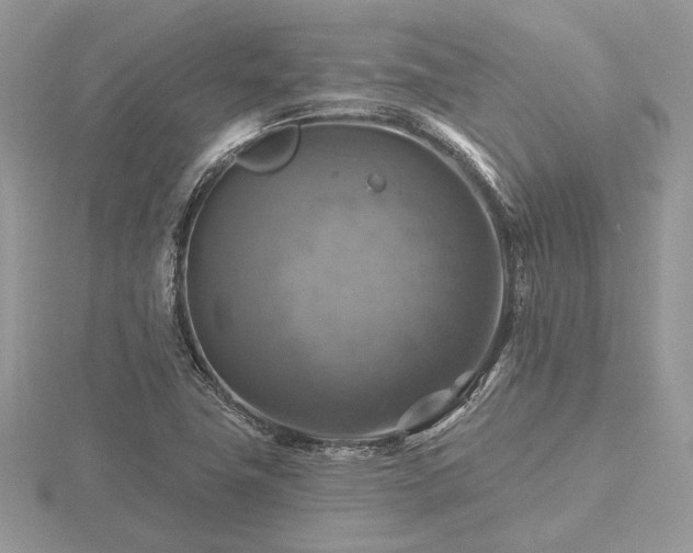 X0000116491411200912091411