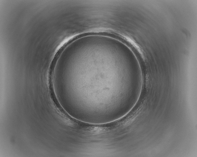 X0000116491412200912091411