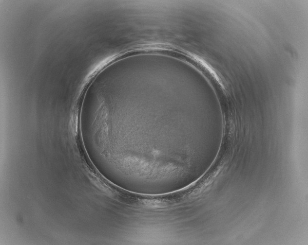 X0000116491413200912091411