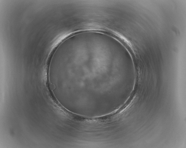 X0000116491415200912091411