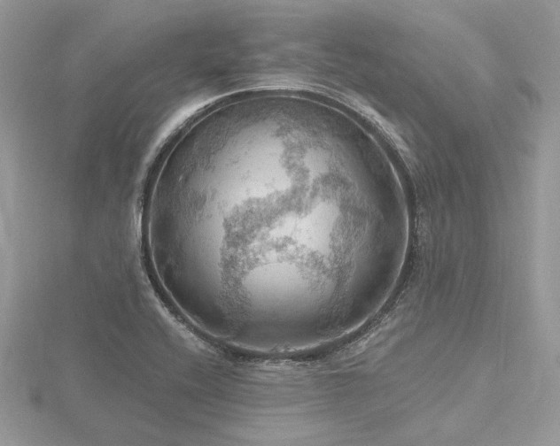 X0000116491416200912091411