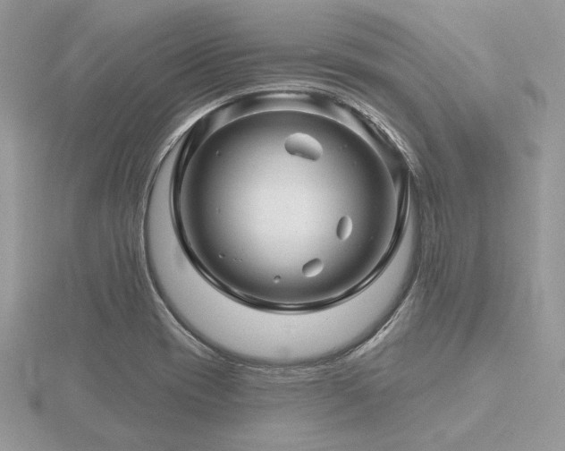 X0000116491417200912091411