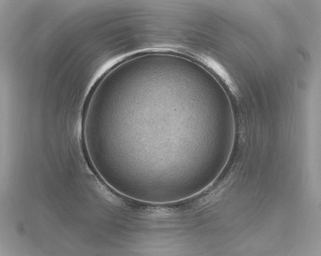 X0000116491420200912091411