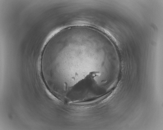 X0000116491421200912091411