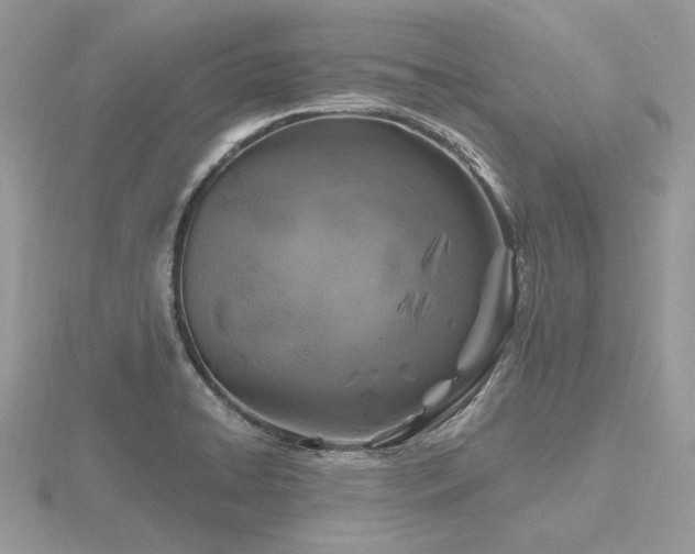 X0000116491422200912091412