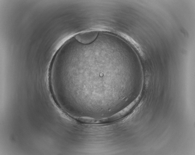 X0000116491423200912091412