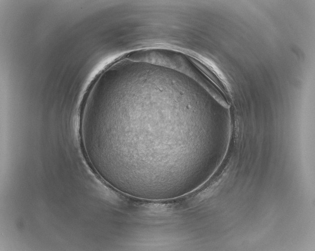 X0000116491424200912091412