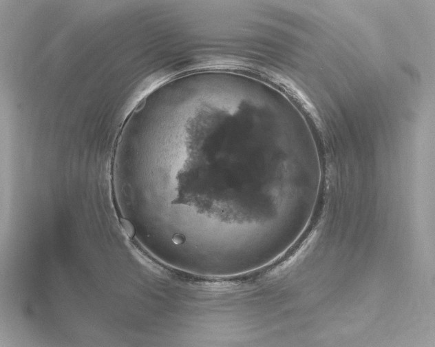 X0000116491425200912091412