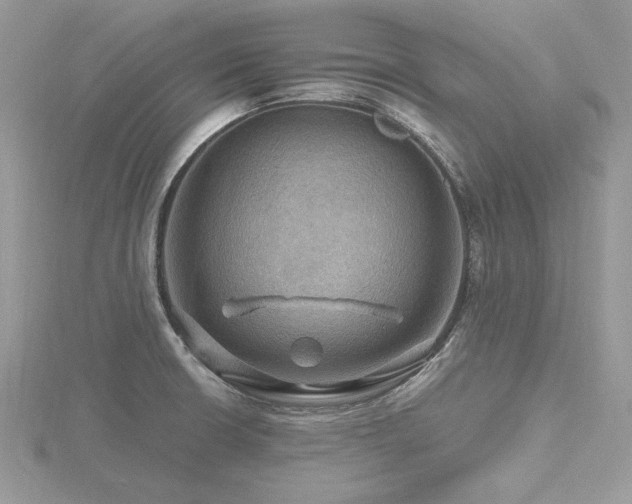 X0000116491426200912091412