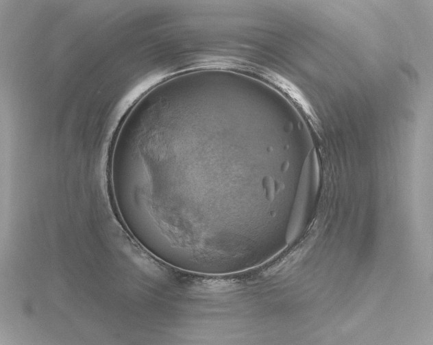 X0000116491427200912091412