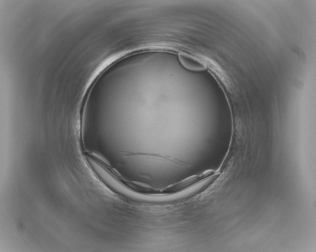 X0000116491428200912091412