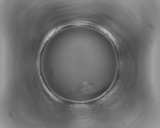 X0000116491429200912091412