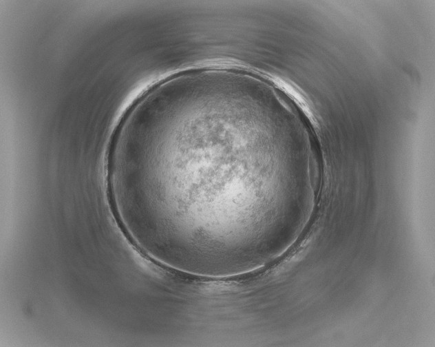 X0000116491430200912091412