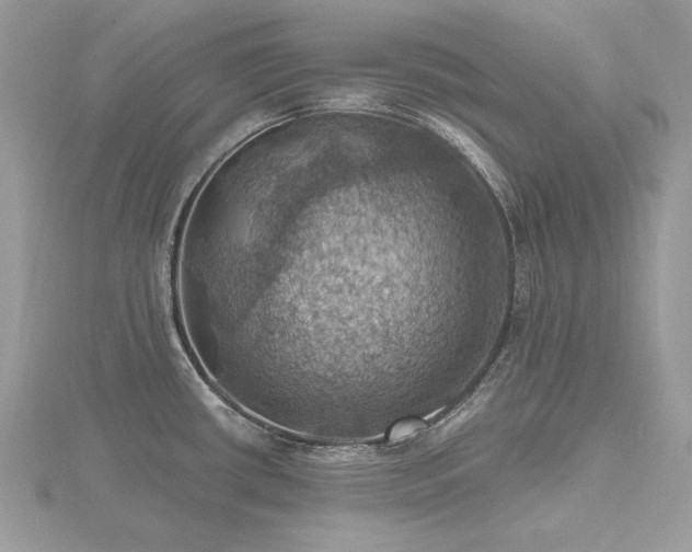 X0000116491434200912091412