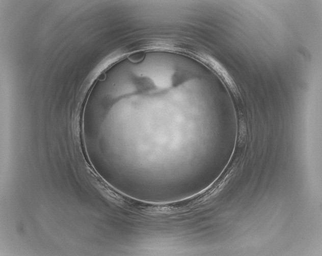 X0000116491435200912091412