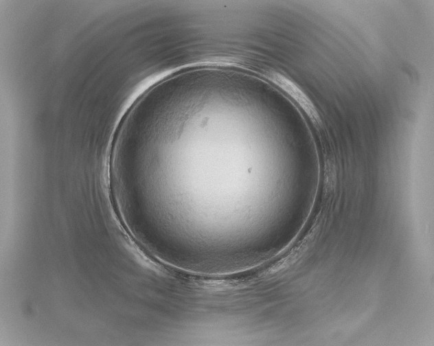 X0000116491436200912091412