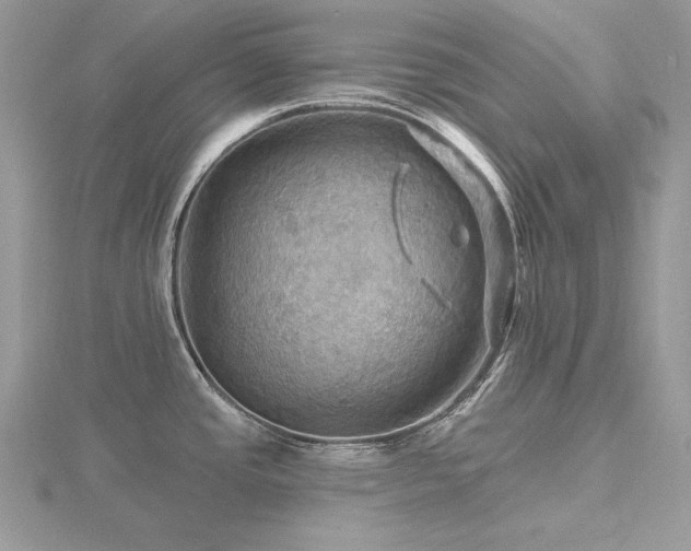 X0000116491437200912091412