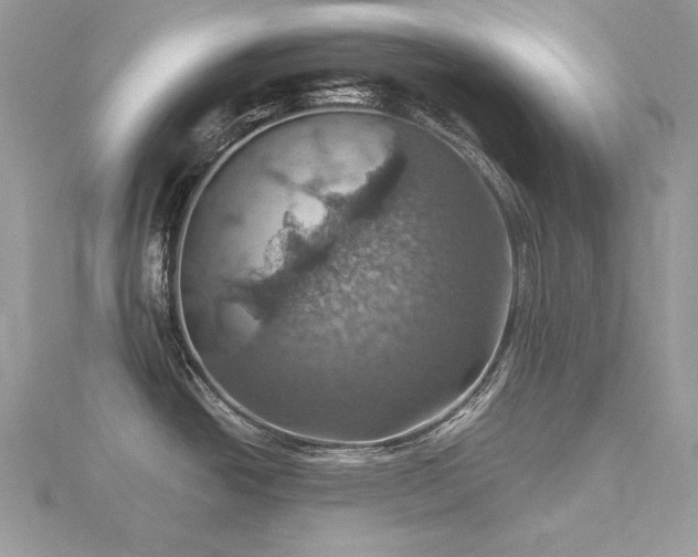 X0000116491438200912091412