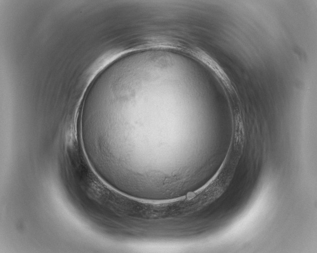 X0000116491439200912091412