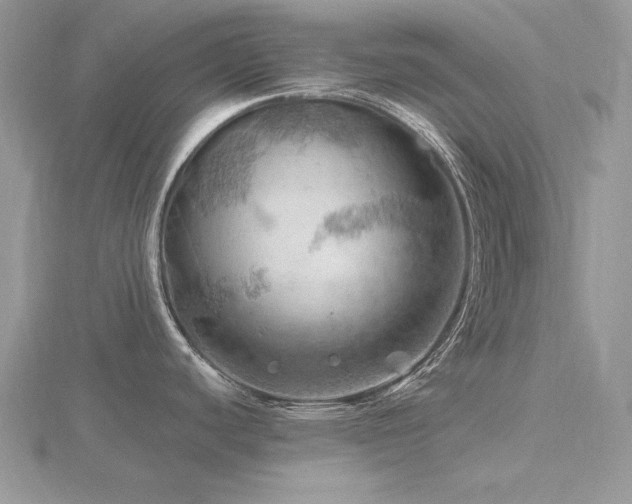 X0000116491440200912091412