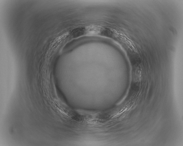 X0000116491441200912091411