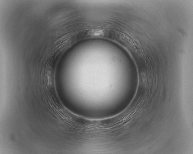 X0000116491442200912091411