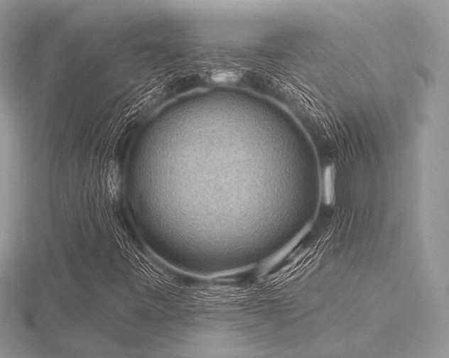 X0000116491443200912091411