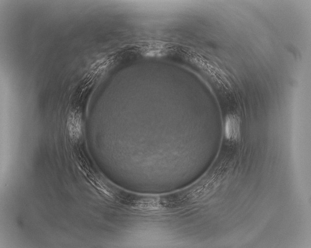 X0000116491444200912091411