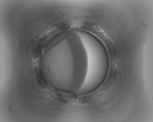 X0000116491445200912091411