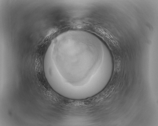 X0000116491446200912091411