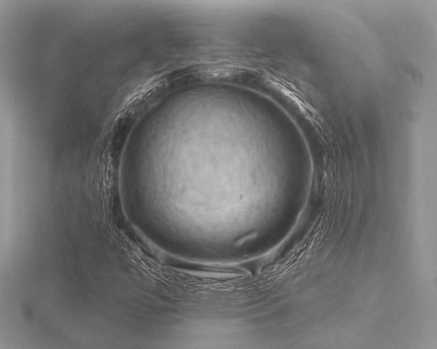 X0000116491447200912091411