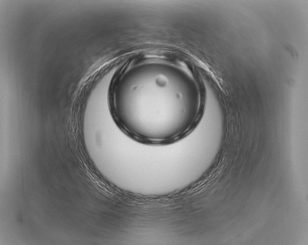 X0000116491448200912091411