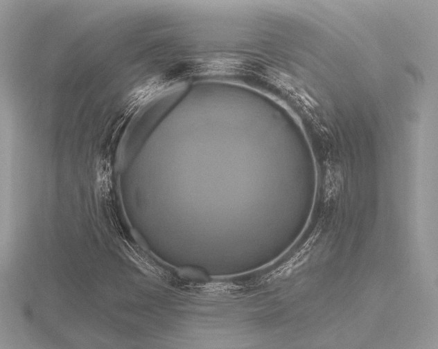 X0000116491449200912091411