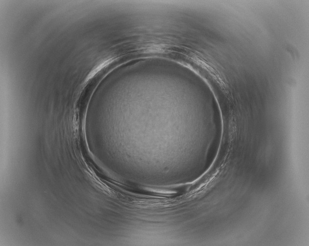 X0000116491450200912091411