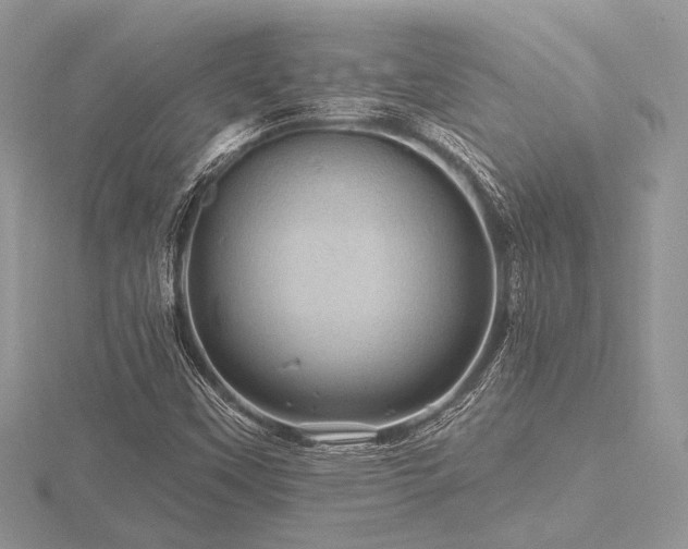 X0000116491451200912091411