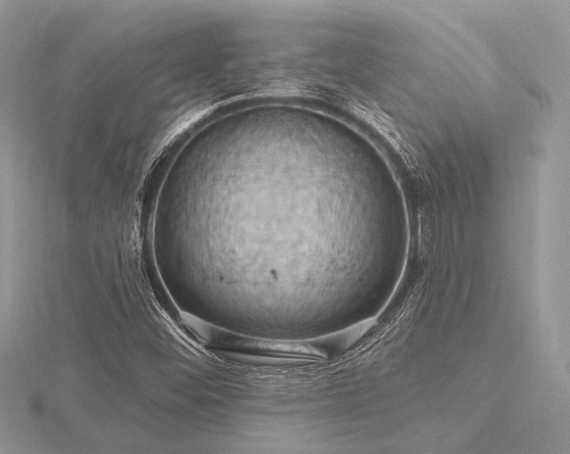 X0000116491452200912091411