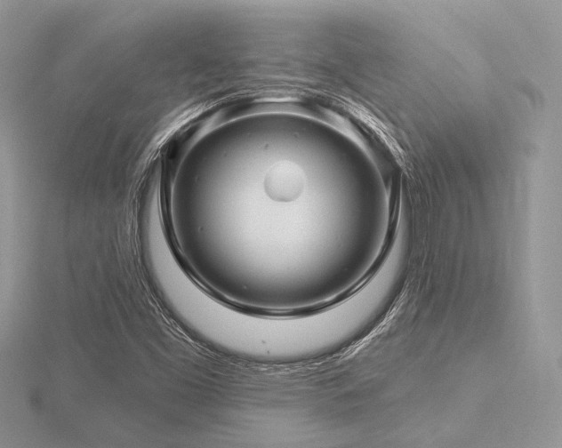 X0000116491453200912091411