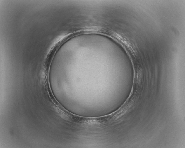 X0000116491454200912091411