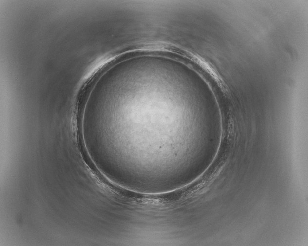 X0000116491456200912091411