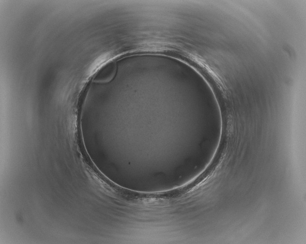 X0000116491459200912091411