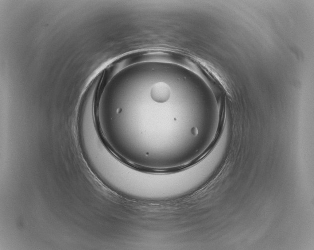 X0000116491460200912091411