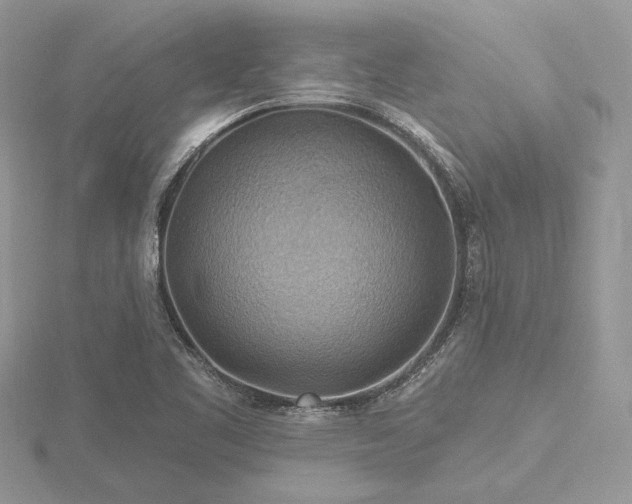 X0000116491461200912091411