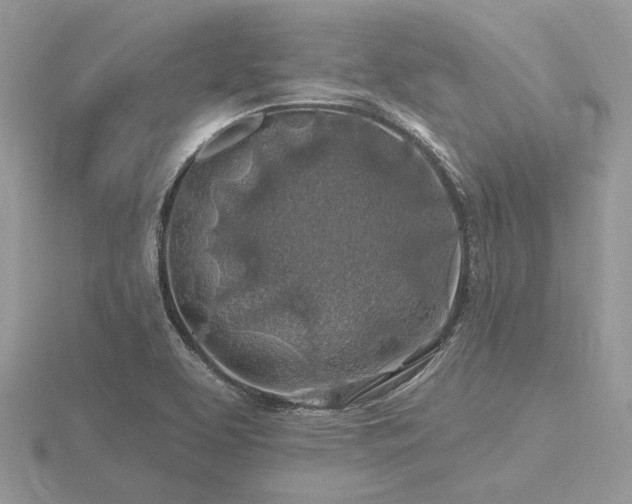 X0000116491463200912091411