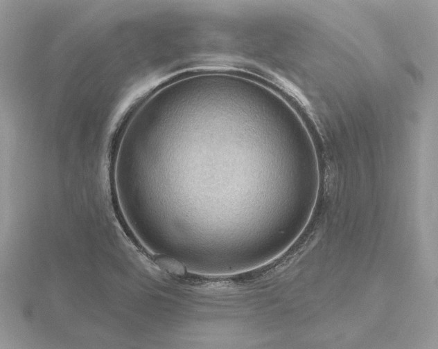 X0000116491464200912091411