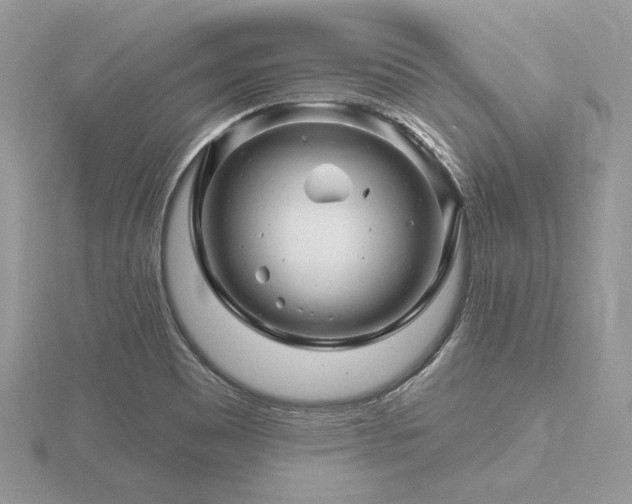 X0000116491465200912091411