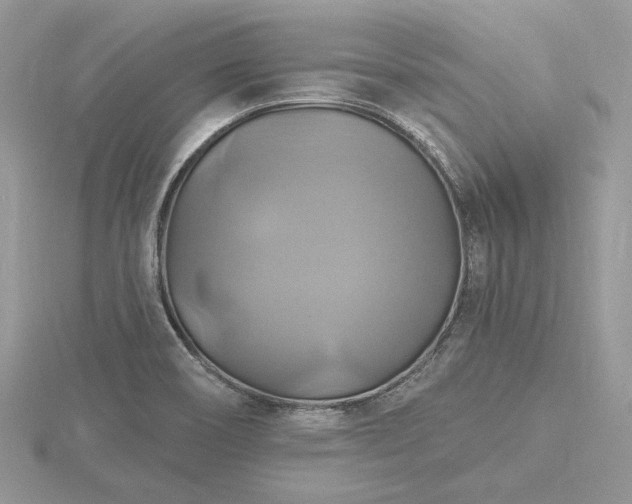 X0000116491466200912091411