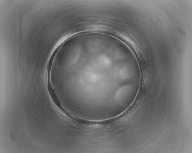 X0000116491467200912091411