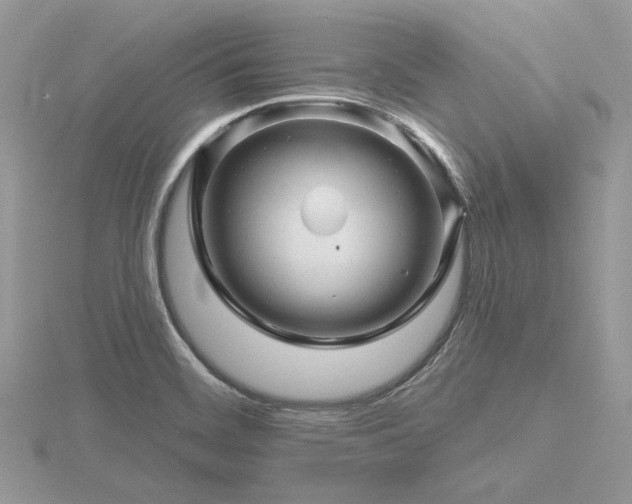 X0000116491468200912091411