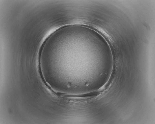 X0000116491469200912091411